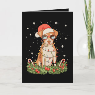 Christmas Dog Pinscher Xmas Santa Hat Holiday Card