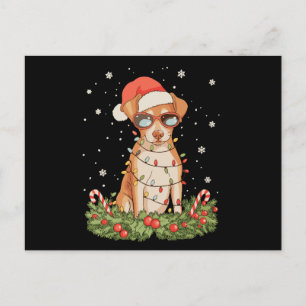 Christmas Dog Pinscher Xmas Santa Hat Holiday Postcard