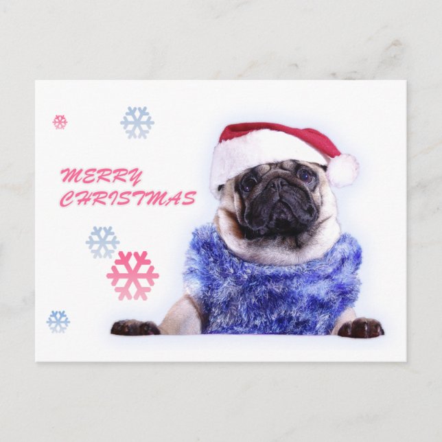 Christmas dog pug in santa hat holiday postcard (Front)