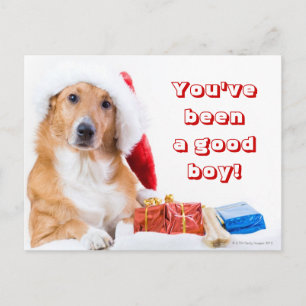 Christmas dog with antler and colourful gifts holiday postcard