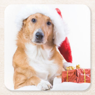 Christmas dog with antler and colourful gifts square paper coaster