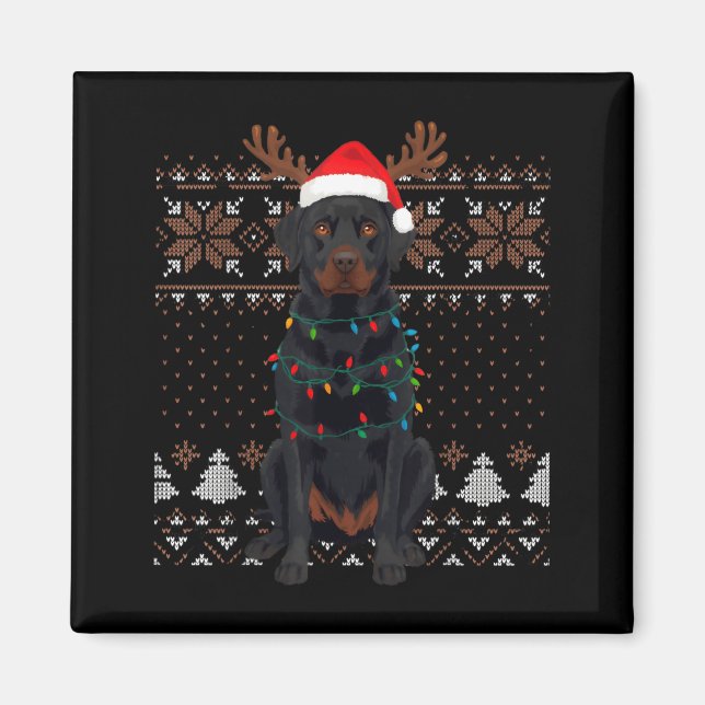 Christmas Dog With Hat And Lights - Funny Holiday  Magnet (Front)
