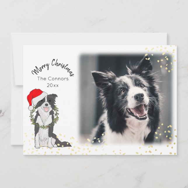 Christmas Dog with Photo Border Collie Holiday Card (Front)