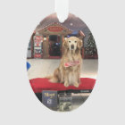 Christmas Dog - Wonder