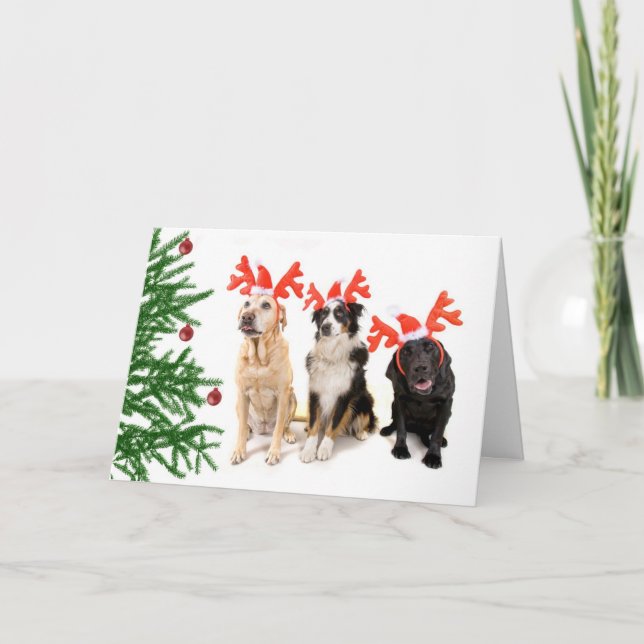 Christmas Dogs Holiday Card (Front)