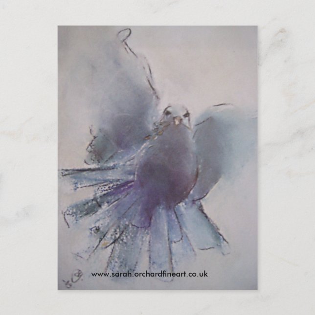 Christmas Dove - 2010 Holiday Postcard (Front)