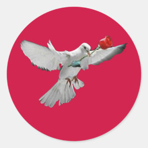 Christmas Dove Classic Round Sticker