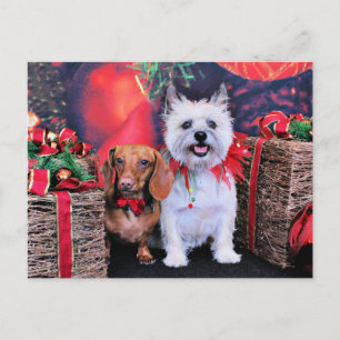 Christmas - Doxie Butch - Cairn Stella Holiday Postcard
