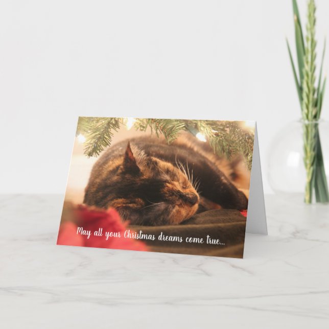 Christmas Dreams Sleeping Calico Cat, Personalised Holiday Card (Front)