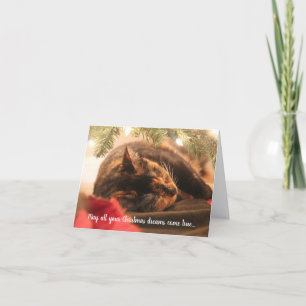 Christmas Dreams Sleeping Calico Cat, Personalized Holiday Card
