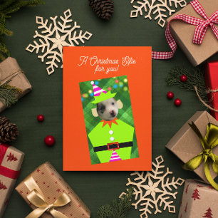 Christmas Elfie Personalised Pet Photo Christmas Holiday Card