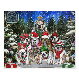 Christmas English Bulldog Tree Photo Print
