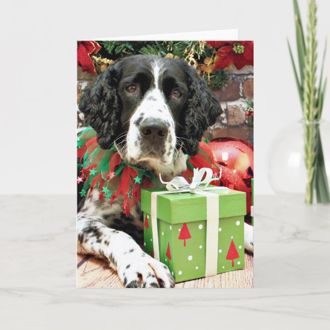 Christmas - English Springer Spaniel - Barney Holiday Card (Front)