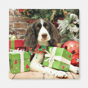 Christmas - English Springer Spaniel - Kinzie Magnet