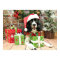 Christmas - English Springer Spaniel - Lucy