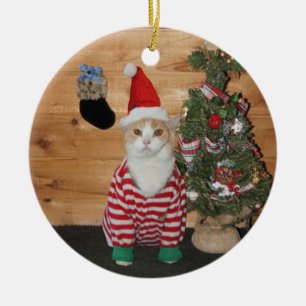 Christmas Eve Cat/Kitty Ceramic Tree Decoration