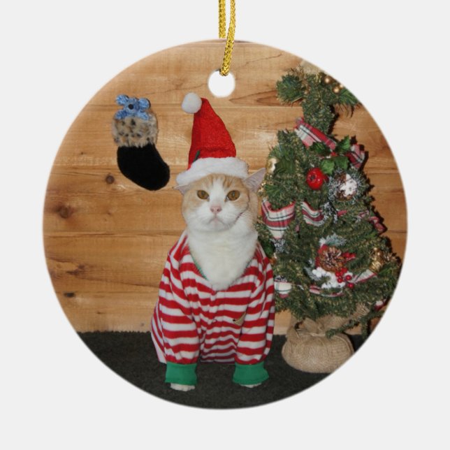Christmas Eve Cat/Kitty Ceramic Tree Decoration (Front)