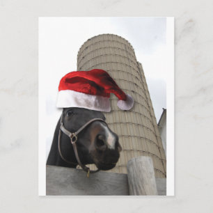 Christmas Farm Horse Holiday Postcard