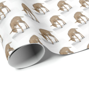 Christmas  Fawn Deer Wrapping Paper