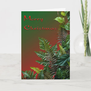 Christmas Ferns Holiday Card