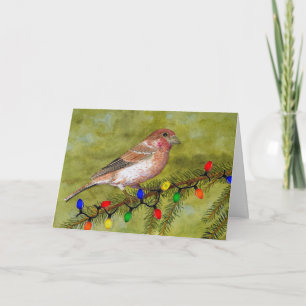 Christmas Finch Holiday Card