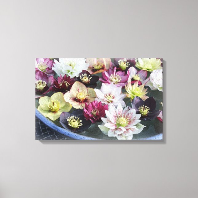Christmas Flower Canvas Print (Front)