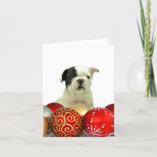 Christmas French Bulldog Holiday Card