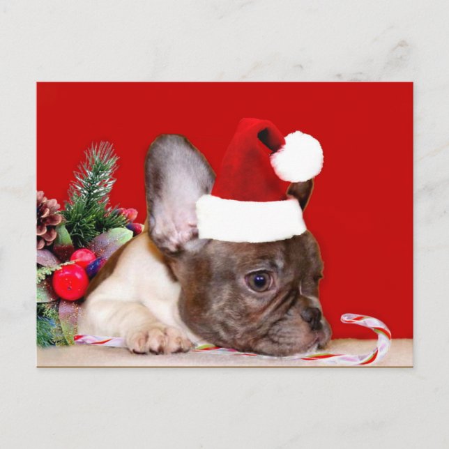 Christmas French Bulldog postcard (Front)