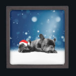 Christmas French Bulldog Puppies snow santa hat Jewellery Box<br><div class="desc">Cute French Bulldog puppies sleeping in snow wearing santa hat. Perfect gift for Christmas!</div>