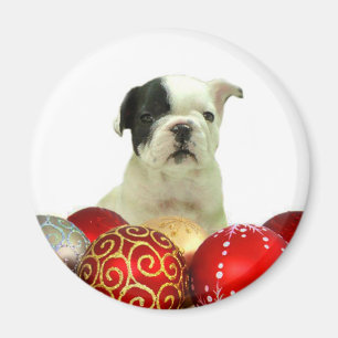 Christmas French Bulldog puppy Magnet