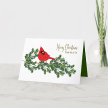 Christmas From All of Us Red Cardinal Pine Branch