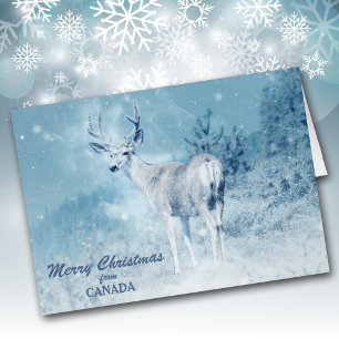 Christmas from Canada Deer Christmas Card