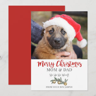 Christmas From Dog Holiday Card