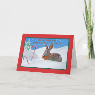 Christmas, From Our Home, Rabbit, Snow, Candy Cane Holiday Card