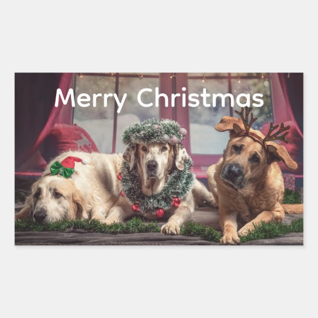 Christmas Fun 3 Dogs Dressed for Season Rectangular Sticker (Front)