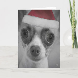 Christmas Funny Chihuahua Puppy with Santa Hat Holiday Card