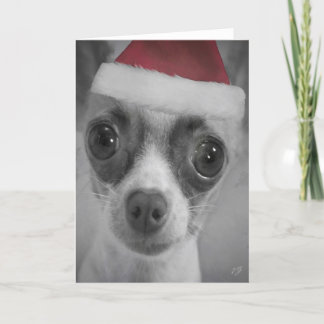 Christmas Funny Chihuahua Puppy with Santa Hat Holiday Card
