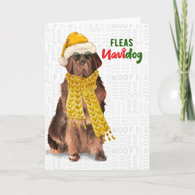 Christmas Funny Newfoundland Fleas NaviDOG Holiday Card (Front)