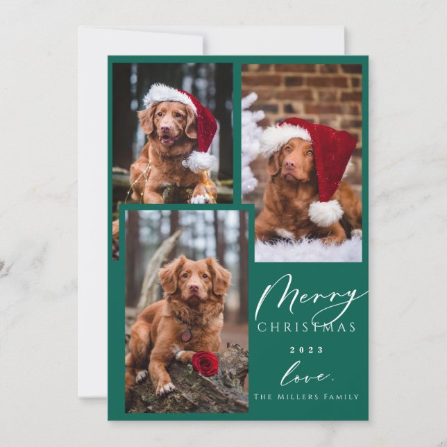 Christmas Funny Pet Merry Christmas 3 Photo Holida Holiday Card (Front)