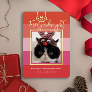Christmas Furry & Bright Pet Photo Red 