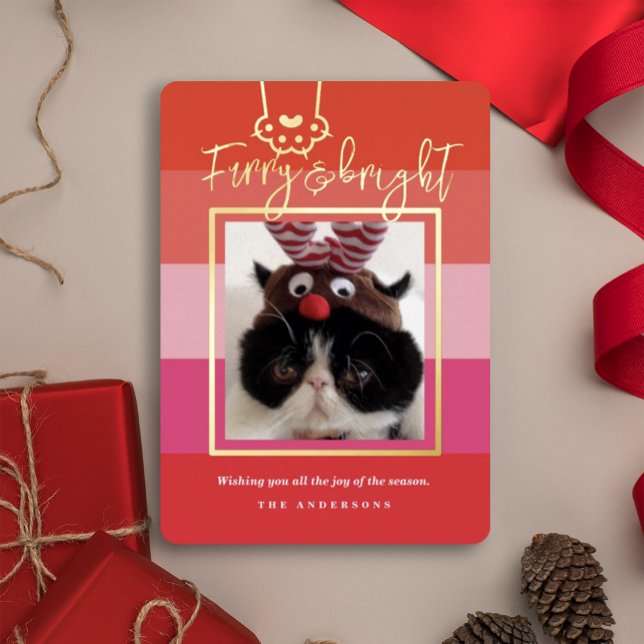 Christmas Furry & Bright Pet Photo Red  (Creator Uploaded)