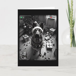 Christmas German Shepherd Caught On Camera Card