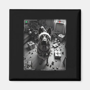 Christmas German Shepherd Caught On Camera Magnet