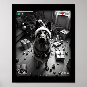 Christmas German Shepherd Caught On Camera Poster