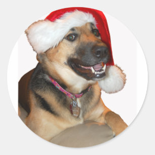 Christmas German Shepherd Classic Round Sticker