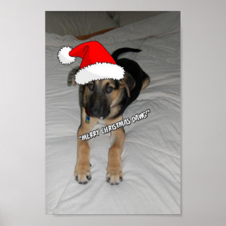 Christmas German Shepherd Poster