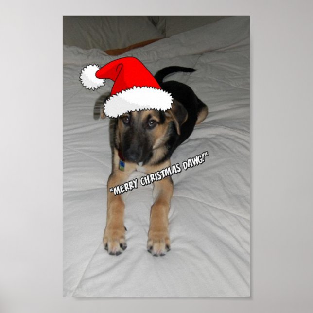 Christmas German Shepherd Poster (Front)