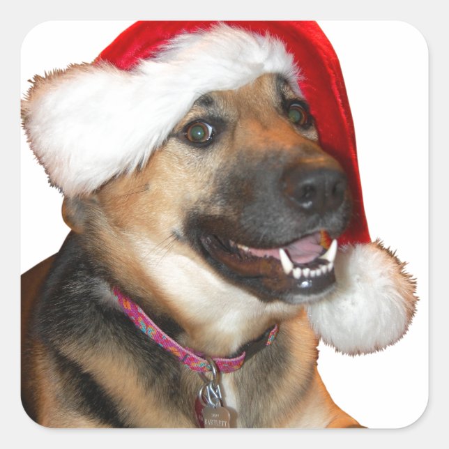 Christmas German Shepherd Square Sticker (Front)