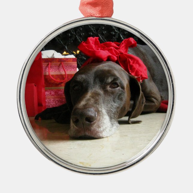 Christmas german shorthaired pointer metal tree decoration (Front)