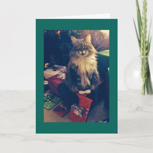 Christmas Gifts and Cat Holiday Card (Front)